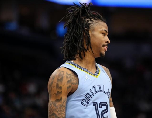 在欧洲冬季 在欧洲冬季